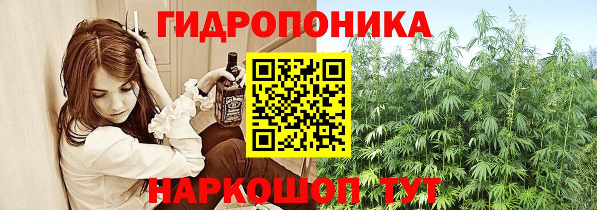 Конопля конопля  Вход с VPN  МАРИХУАНА индика  Кудымкар 